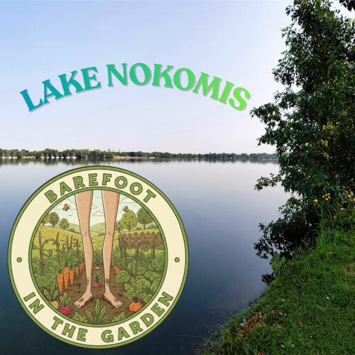 Lake Nokomis