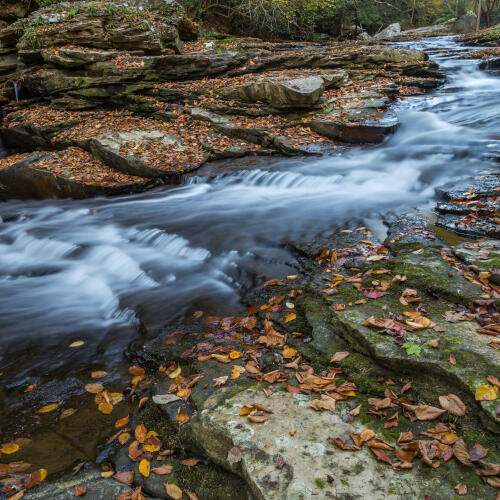 Forever Downstream